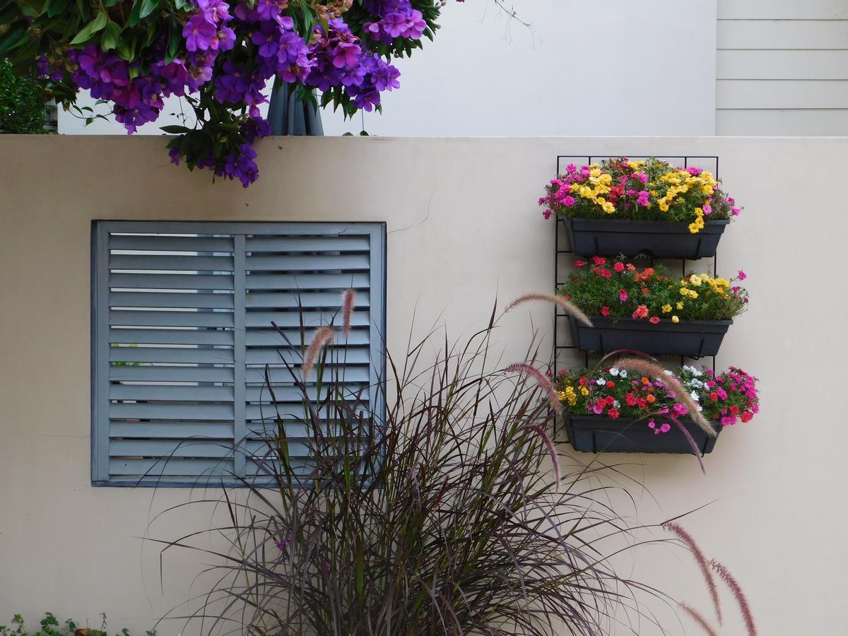פורט מקווארי Beachport Bed & Breakfast מראה חיצוני תמונה